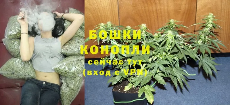 Магазины продажи наркотиков Богородицк А ПВП  АМФЕТАМИН  Кодеин  Cocaine  Псилоцибиновые грибы  МЕФ  ГАШИШ 